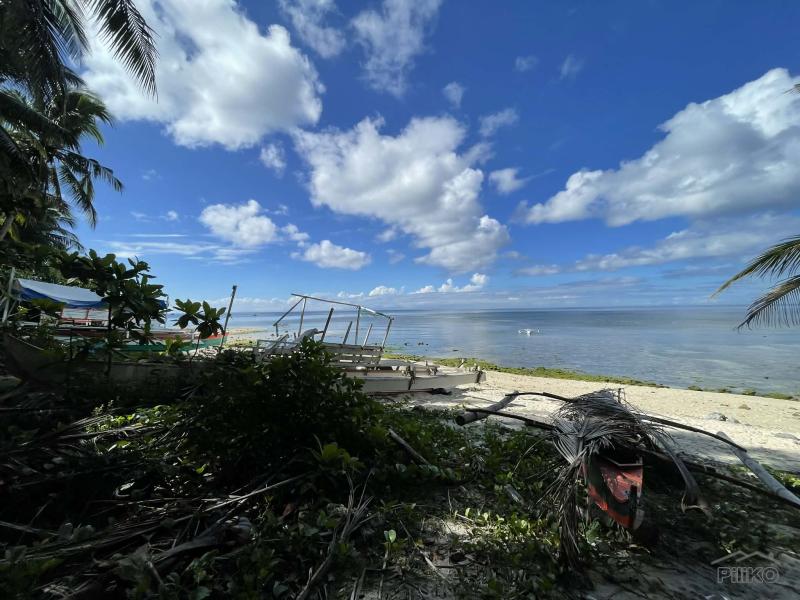 Commercial Lot for sale in San Juan in Siquijor - image