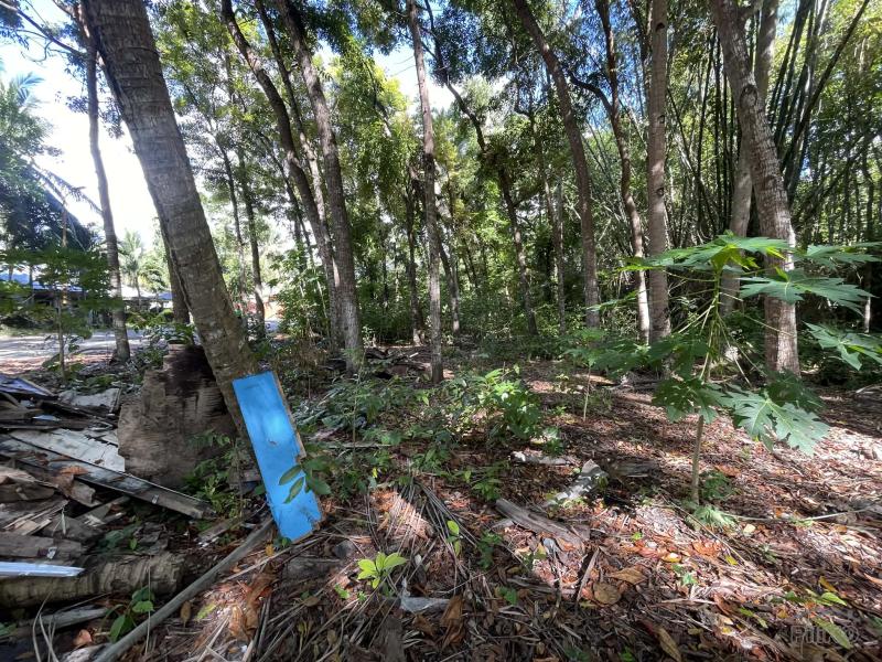 Commercial Lot for sale in San Juan in Philippines - image