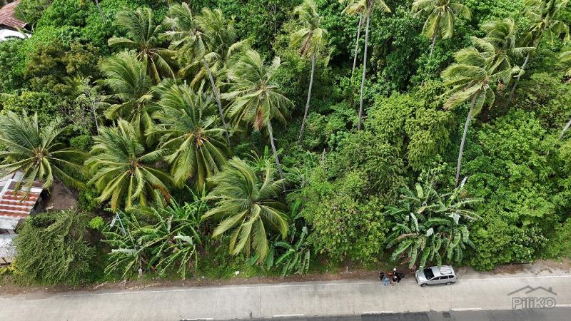 Residential Lot for sale in Dauin - image 5