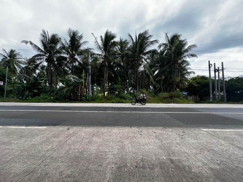 Residential Lot for sale in Dauin - image 6