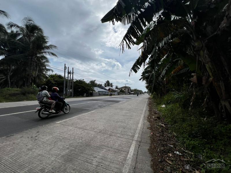 Residential Lot for sale in Dauin - image 7