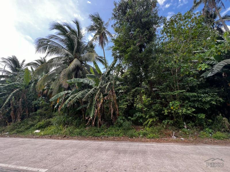 Residential Lot for sale in Dauin - image 8