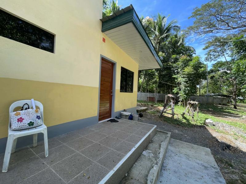 2 bedroom House and Lot for sale in Siquijor - image 10