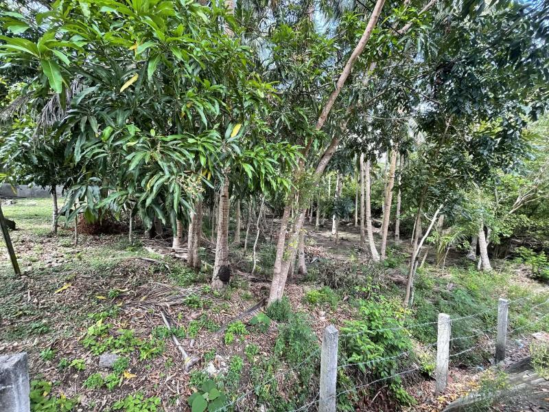 2 bedroom House and Lot for sale in Siquijor - image 17