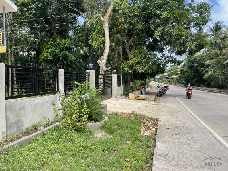 2 bedroom House and Lot for sale in Siquijor - image 18