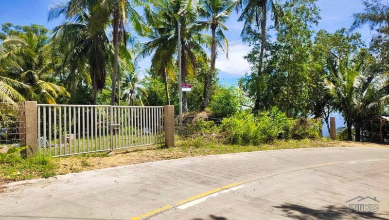 Residential Lot for sale in Boljoon - image 10