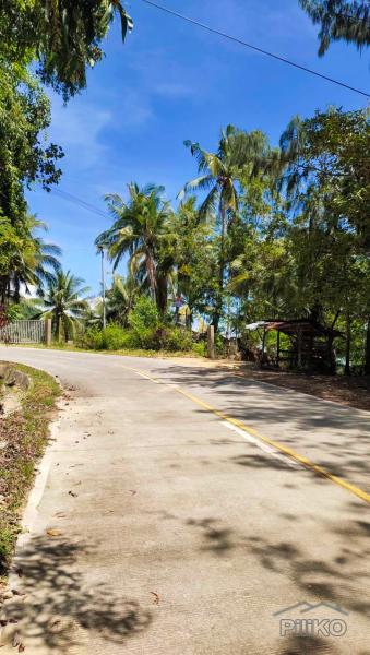 Residential Lot for sale in Boljoon - image 11