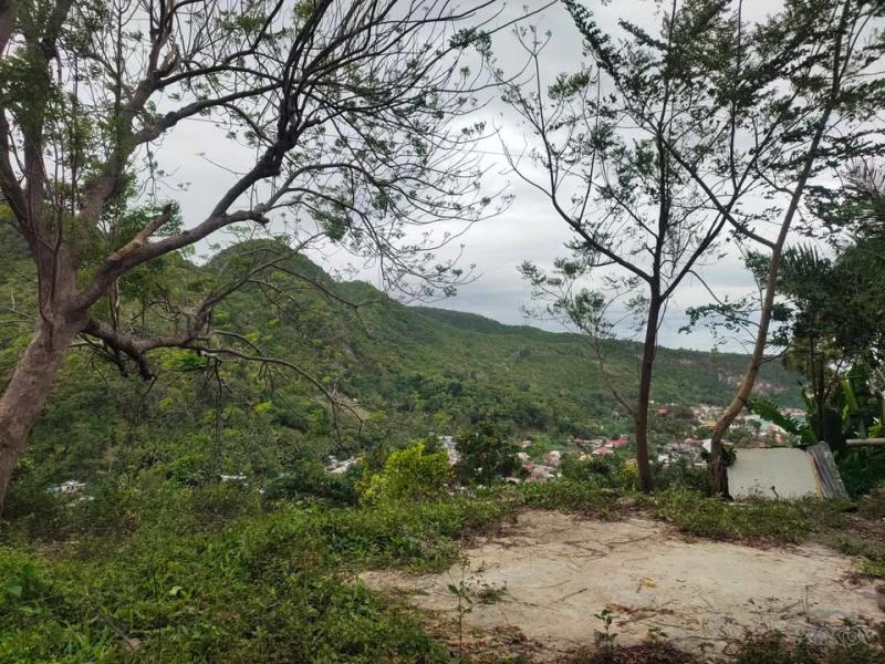 Picture of Residential Lot for sale in Boljoon