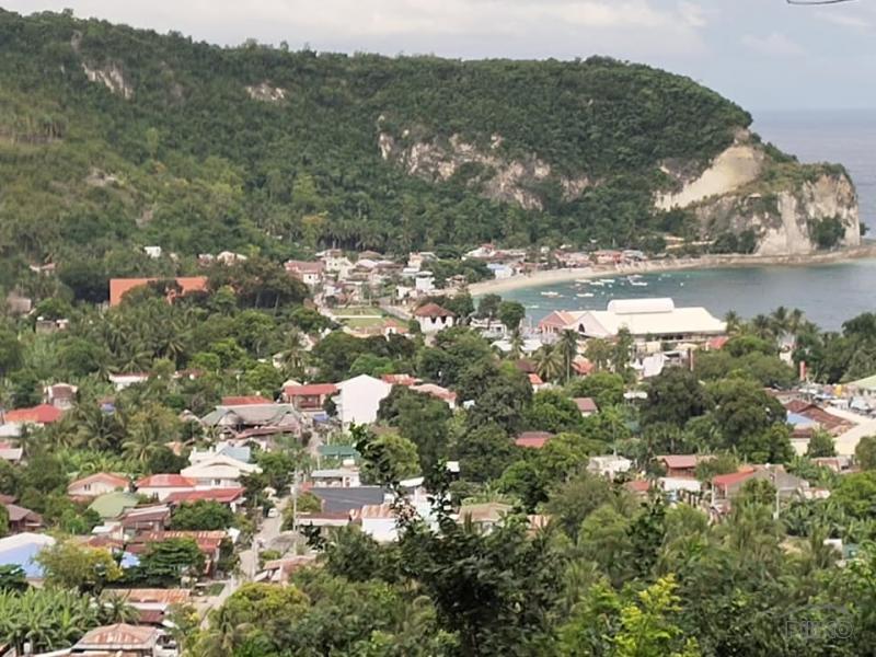 Residential Lot for sale in Boljoon - image 3