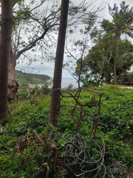 Residential Lot for sale in Boljoon - image 4