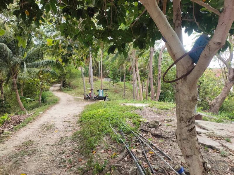 Residential Lot for sale in Boljoon - image 6