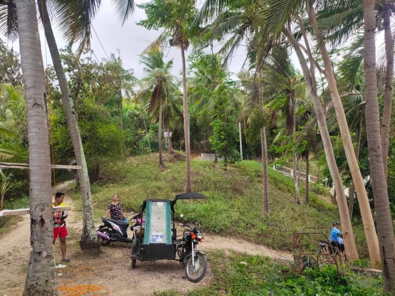 Residential Lot for sale in Boljoon - image 9