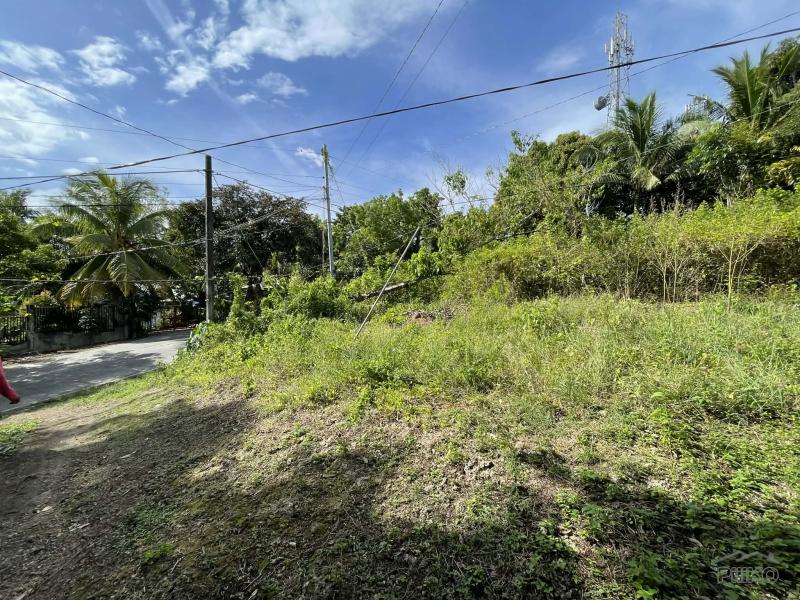 Residential Lot for sale in San Juan - image 10