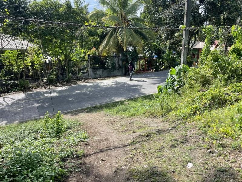 Residential Lot for sale in San Juan - image 11