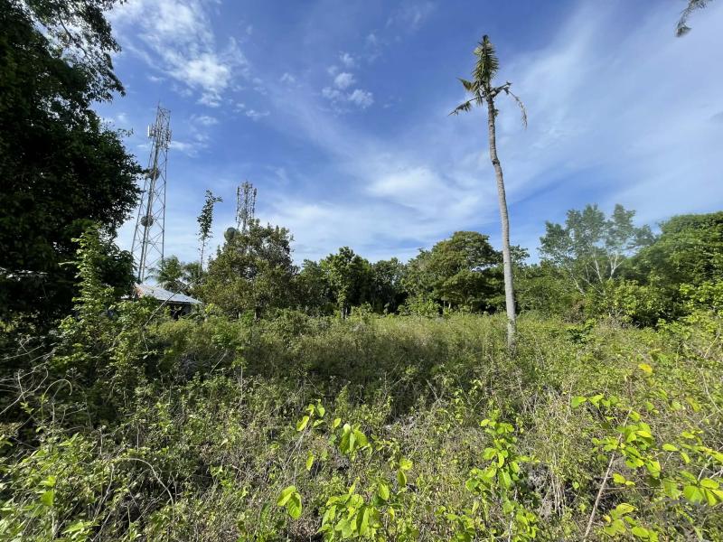 Residential Lot for sale in San Juan - image 13
