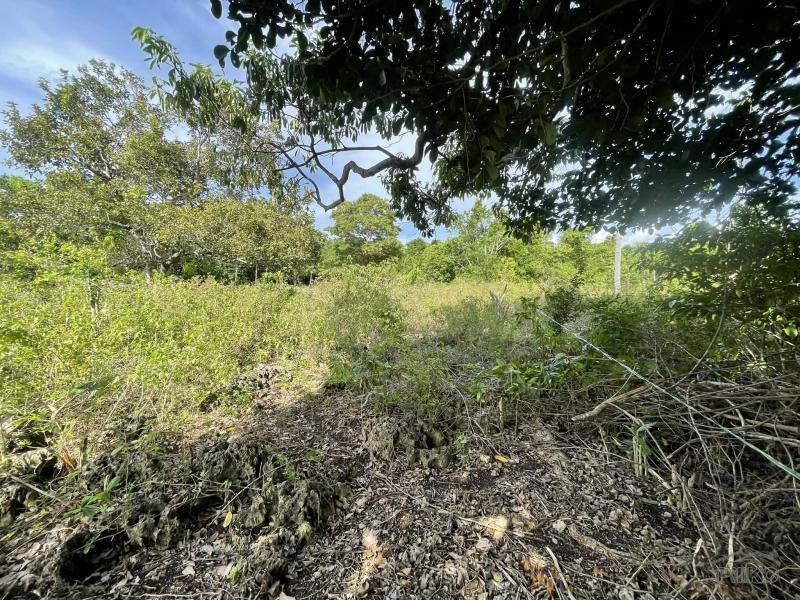 Residential Lot for sale in San Juan - image 14