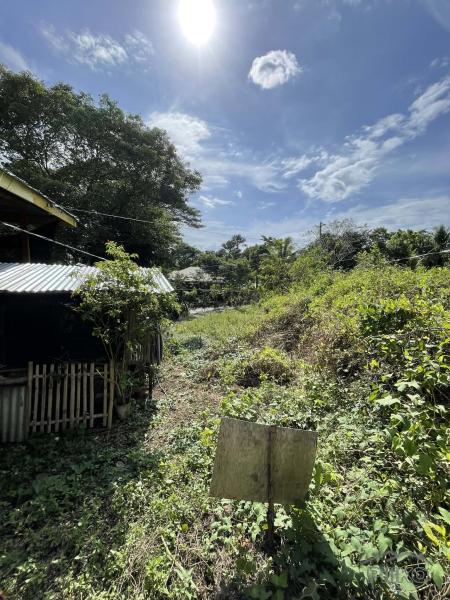 Residential Lot for sale in San Juan in Siquijor