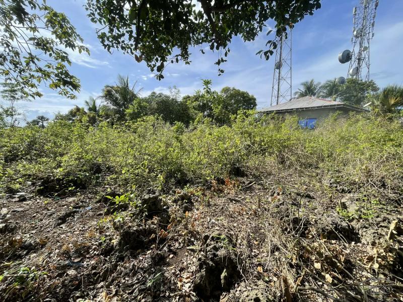 Residential Lot for sale in San Juan in Philippines
