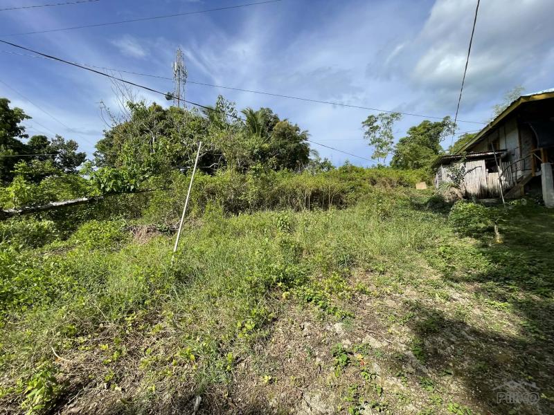 Picture of Residential Lot for sale in San Juan in Siquijor