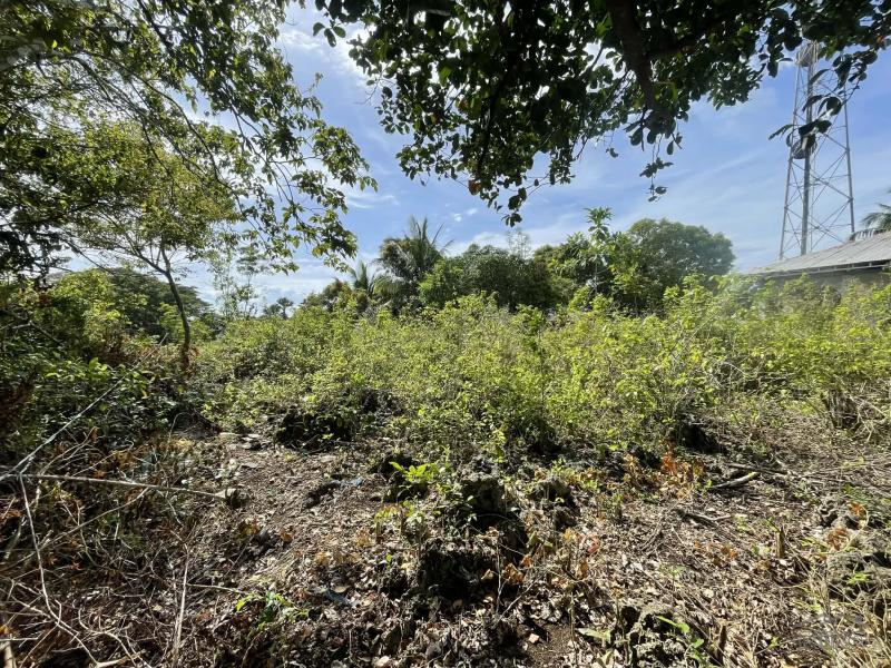 Picture of Residential Lot for sale in San Juan in Philippines