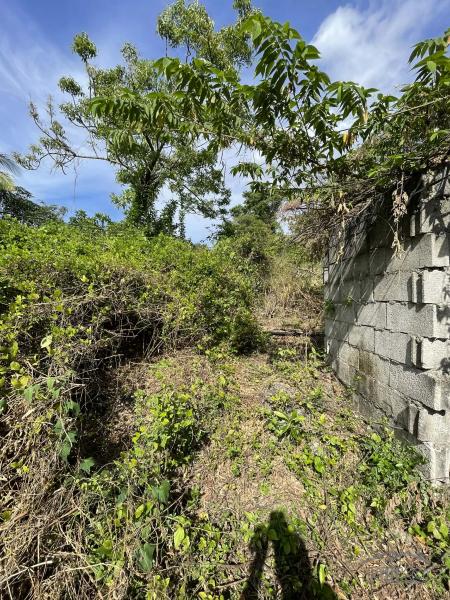Residential Lot for sale in San Juan in Siquijor - image