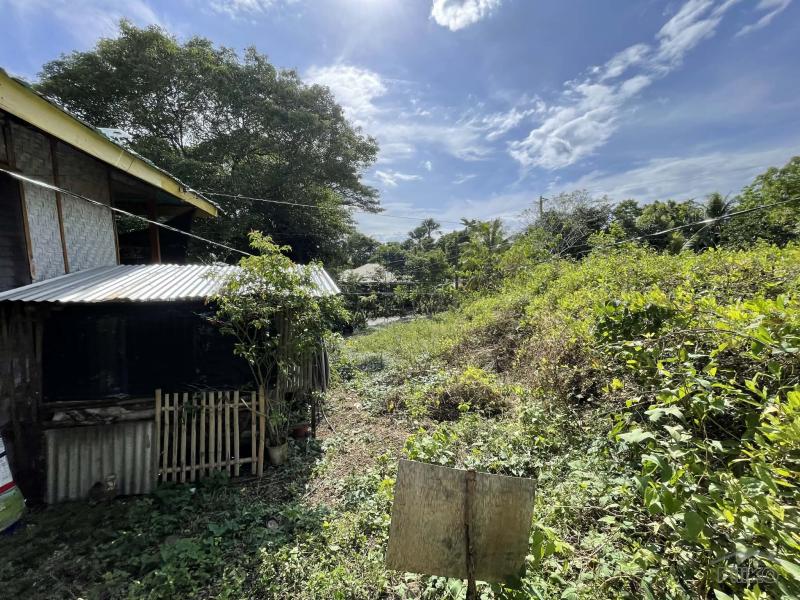 Residential Lot for sale in San Juan in Philippines - image