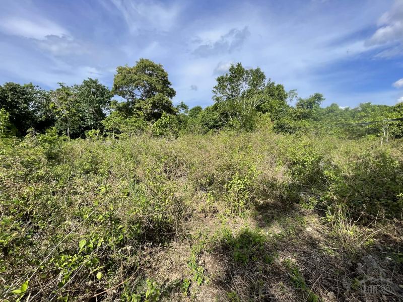 Residential Lot for sale in San Juan - image 9