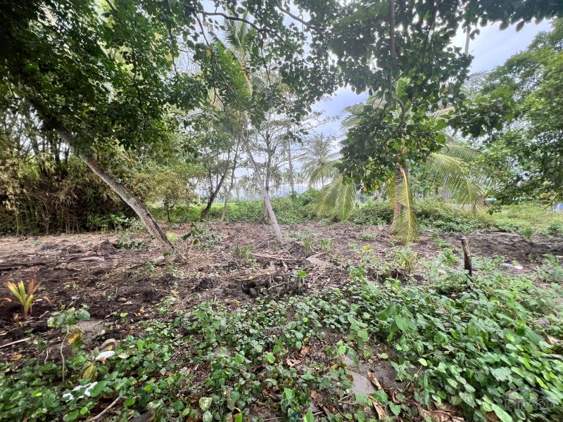 Residential Lot for sale in Zamboanguita - image 10