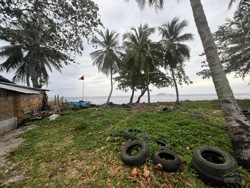 Residential Lot for sale in Zamboanguita - image 11