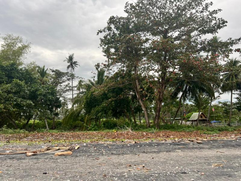 Residential Lot for sale in Zamboanguita - image 13