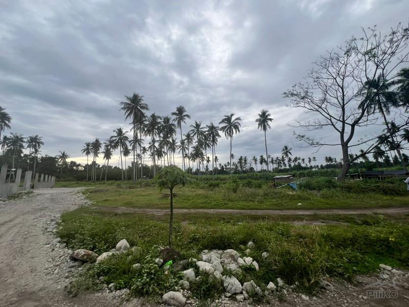 Residential Lot for sale in Zamboanguita - image 14