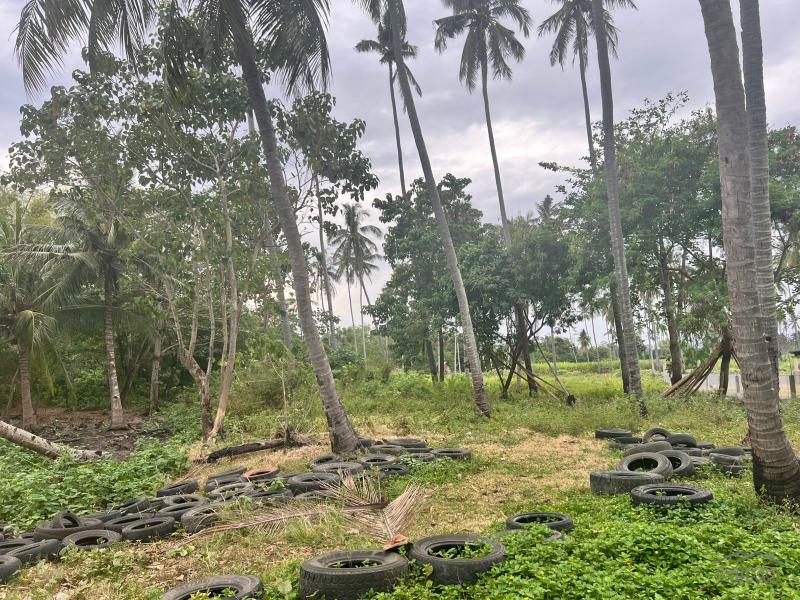 Residential Lot for sale in Zamboanguita - image 15