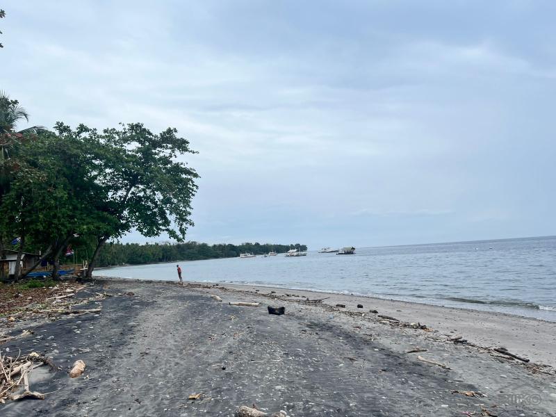 Picture of Residential Lot for sale in Zamboanguita