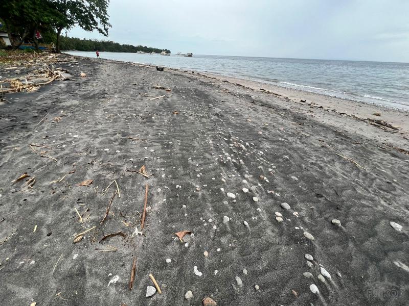 Residential Lot for sale in Zamboanguita - image 2