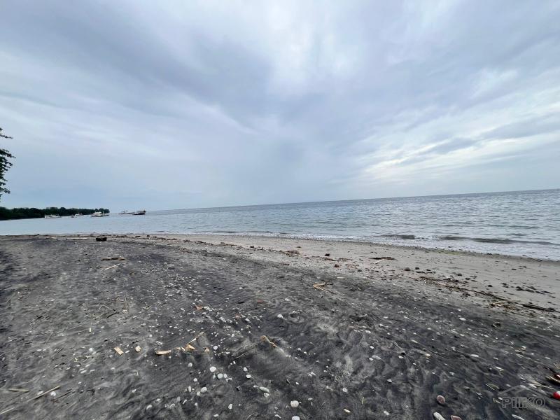 Residential Lot for sale in Zamboanguita - image 3