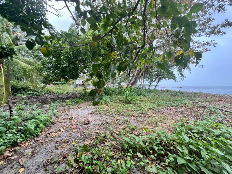 Residential Lot for sale in Zamboanguita - image 4