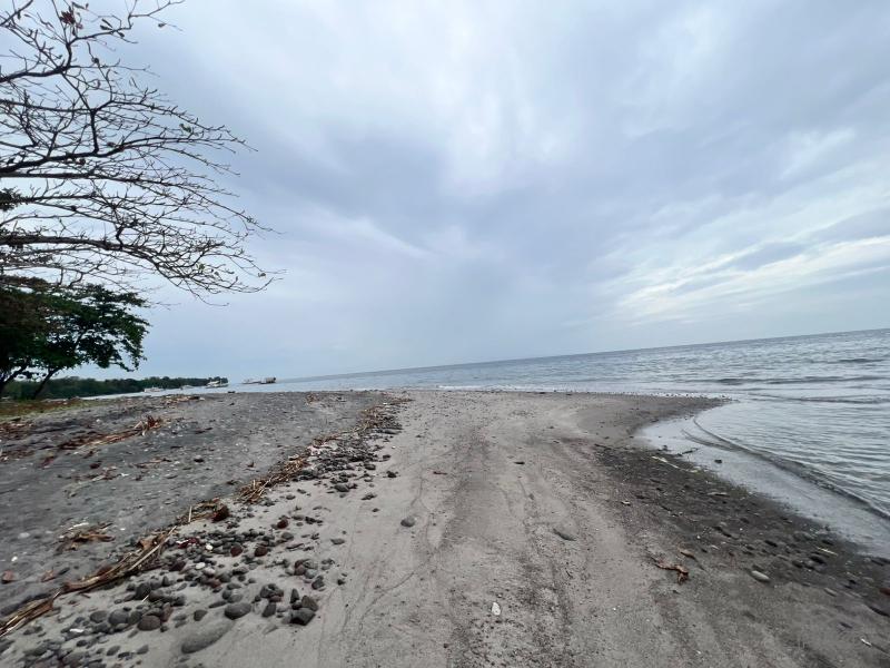 Residential Lot for sale in Zamboanguita - image 5