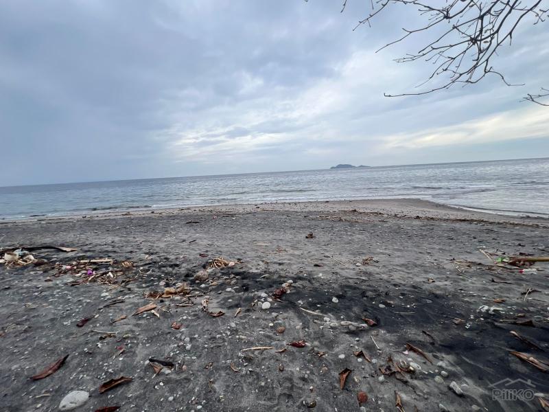 Residential Lot for sale in Zamboanguita - image 6