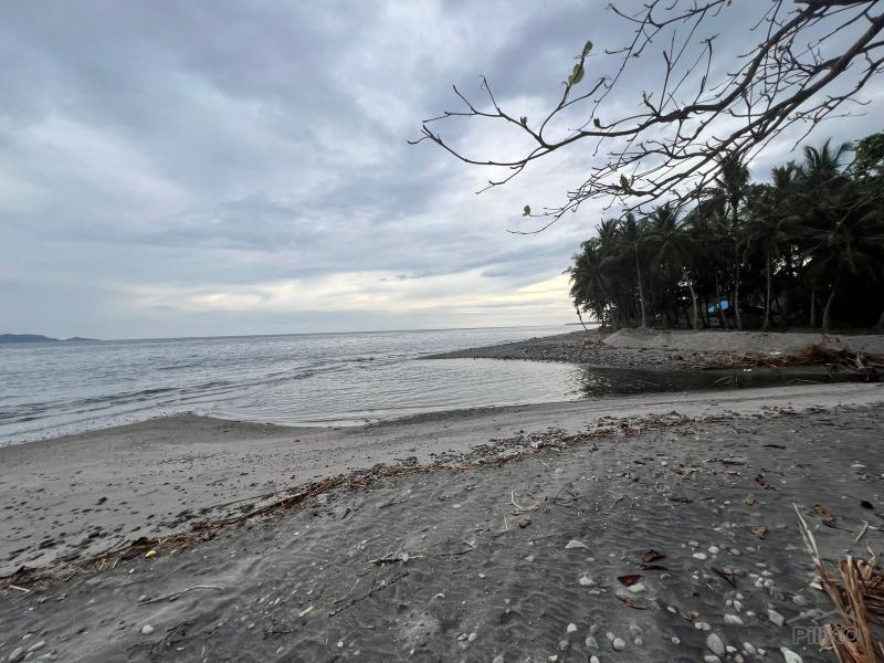 Residential Lot for sale in Zamboanguita - image 7