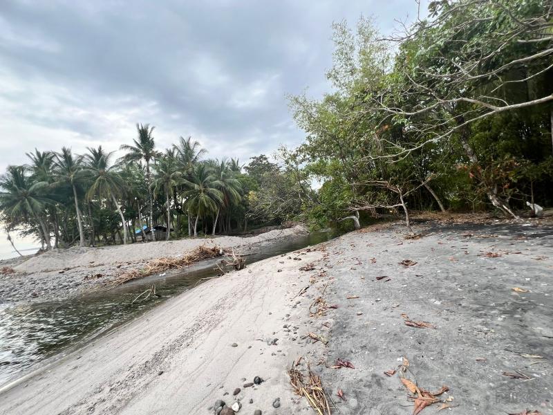 Residential Lot for sale in Zamboanguita - image 8