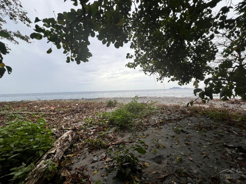 Residential Lot for sale in Zamboanguita - image 9