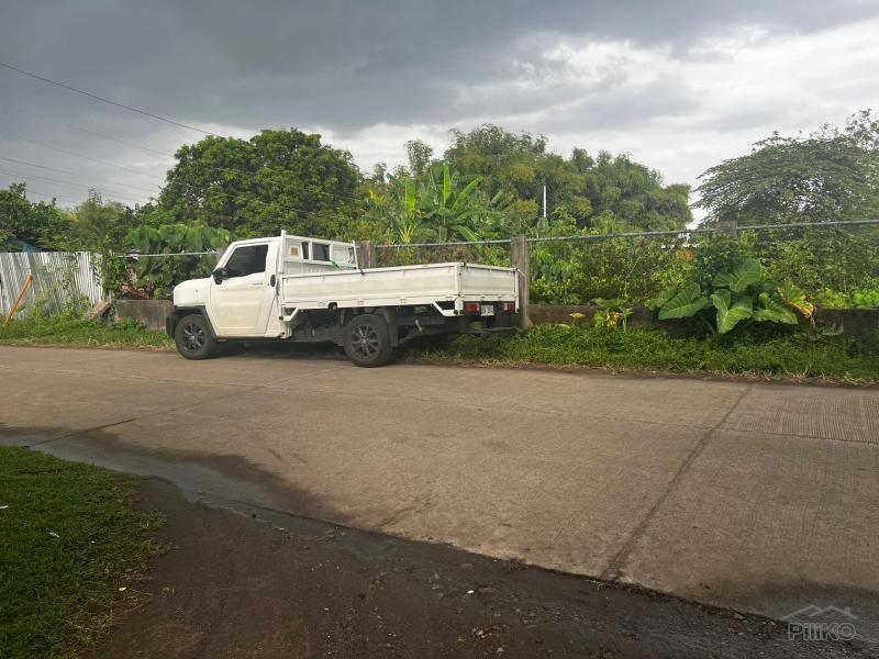 Residential Lot for sale in Dumaguete - image 11
