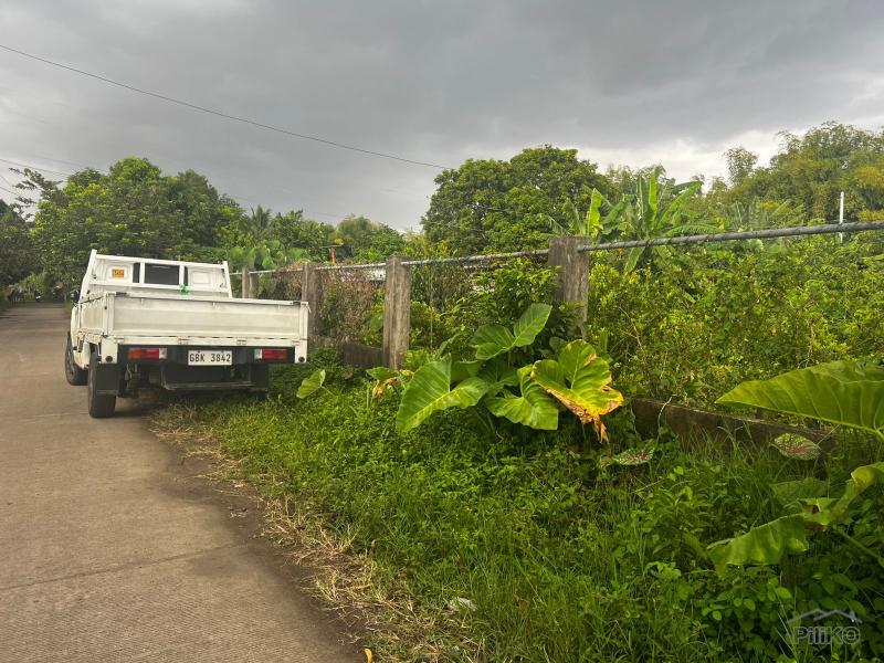 Residential Lot for sale in Dumaguete - image 12