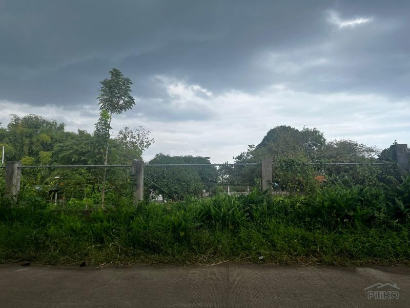 Residential Lot for sale in Dumaguete - image 15