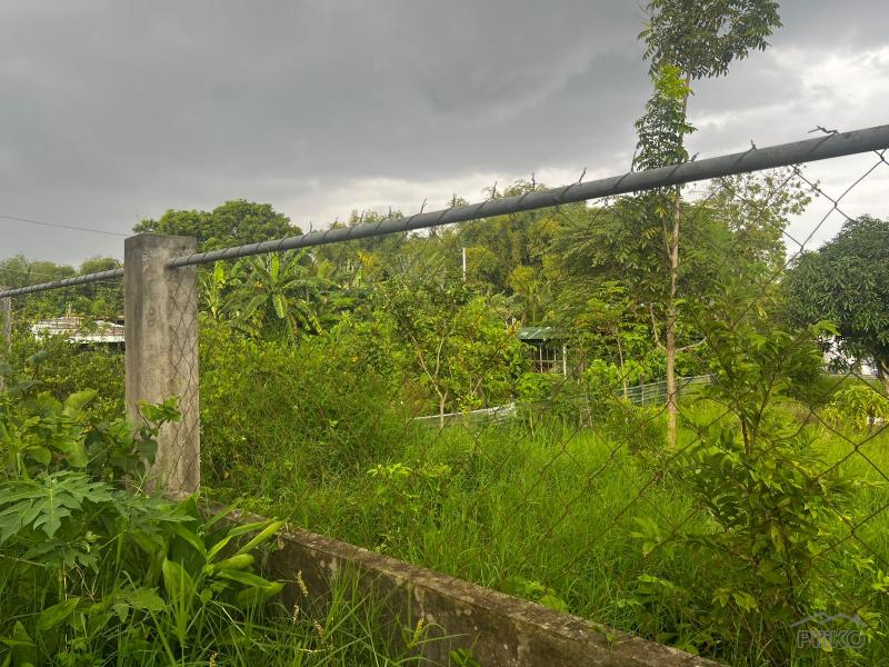 Residential Lot for sale in Dumaguete - image 17