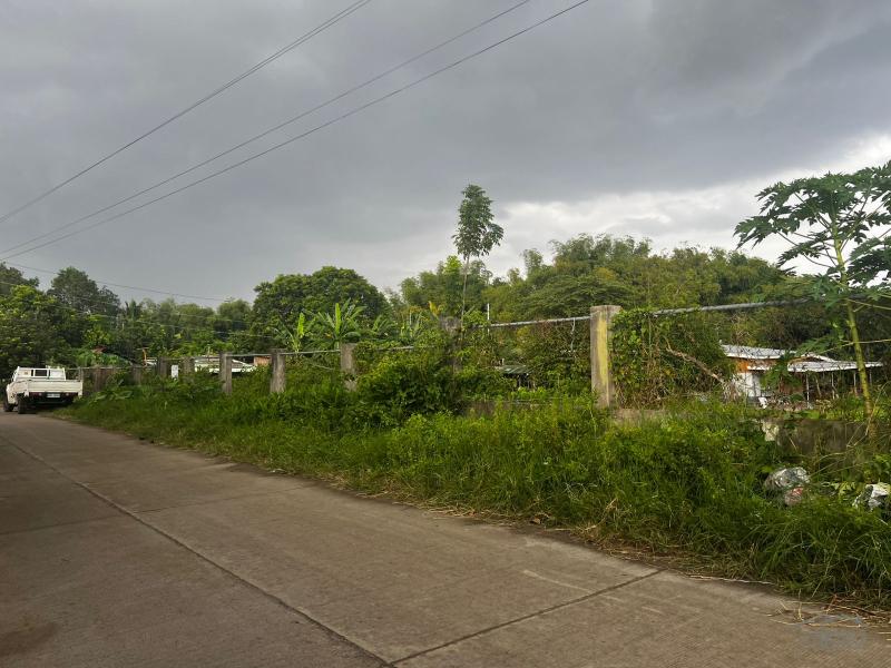 Residential Lot for sale in Dumaguete - image 18