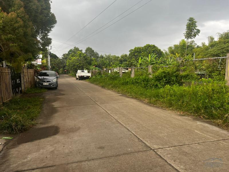 Residential Lot for sale in Dumaguete - image 19