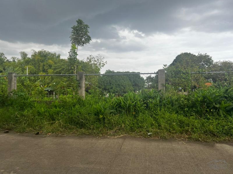 Picture of Residential Lot for sale in Dumaguete