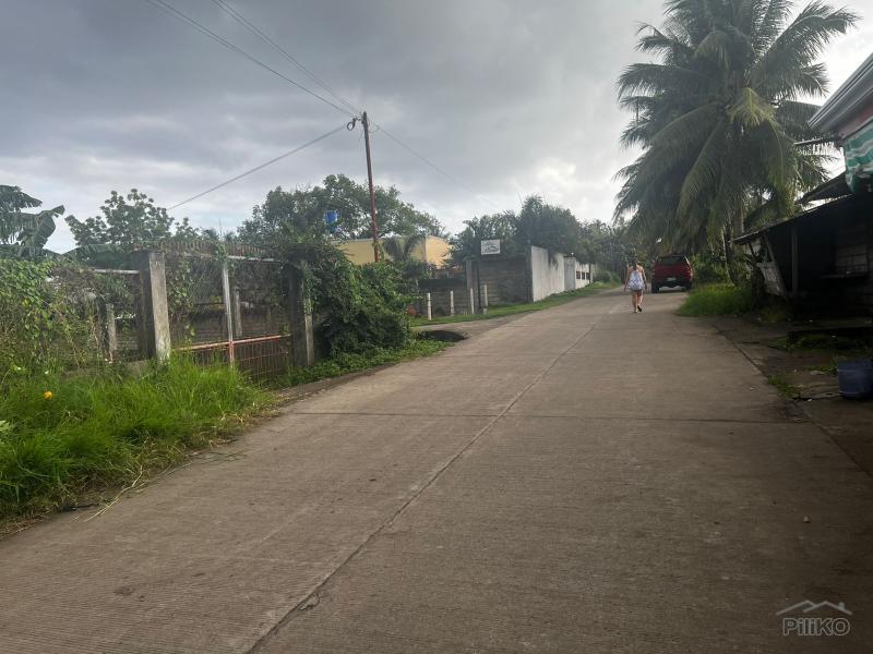 Residential Lot for sale in Dumaguete - image 20
