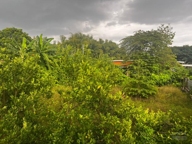 Picture of Residential Lot for sale in Dumaguete in Negros Oriental